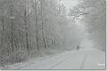 Eenzaam in de sneeuwjacht
